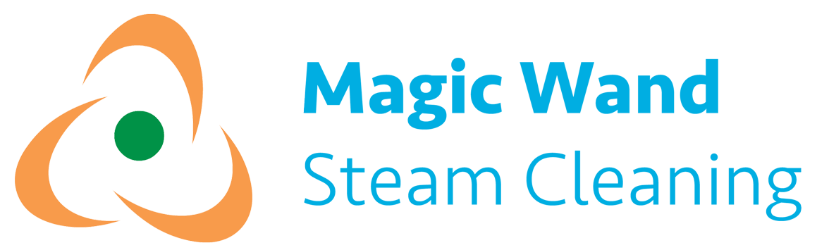 Magic Wand Steam Cleaning